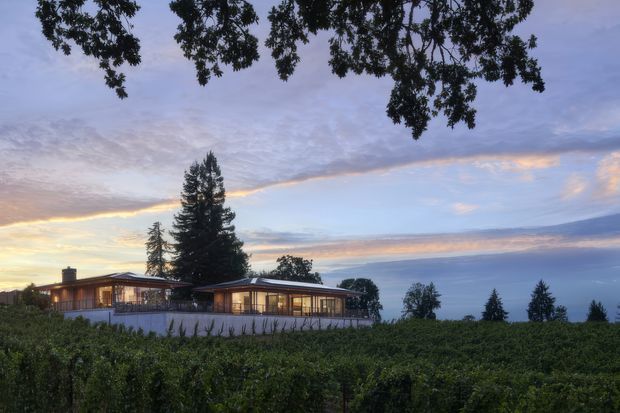 A low, horizontally composed modern house viewed from across a vineyard at dusk. The single-storey residence has extensive floor-to-ceiling glazing, warm interior lighting, dark slender framing, and broad low-pitched roof planes. Tall evergreen trees and overhanging branches frame the home, with layered hills or a distant landscape visible beyond.