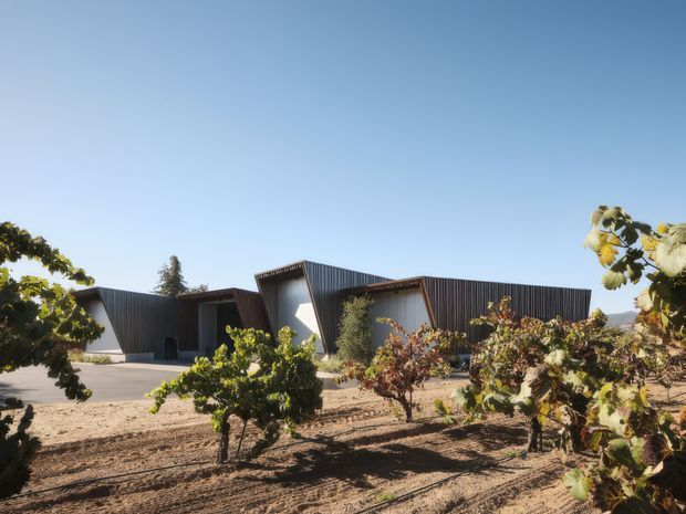A low, contemporary building viewed from a cultivated vineyard or orchard landscape. The structure has sharply angled roof forms, dark vertical corrugated cladding, contrasting light rendered wall planes, deep recessed openings, and a broad paved forecourt. Clear blue sky and rows of small fruiting or vine-like plants surround the building.