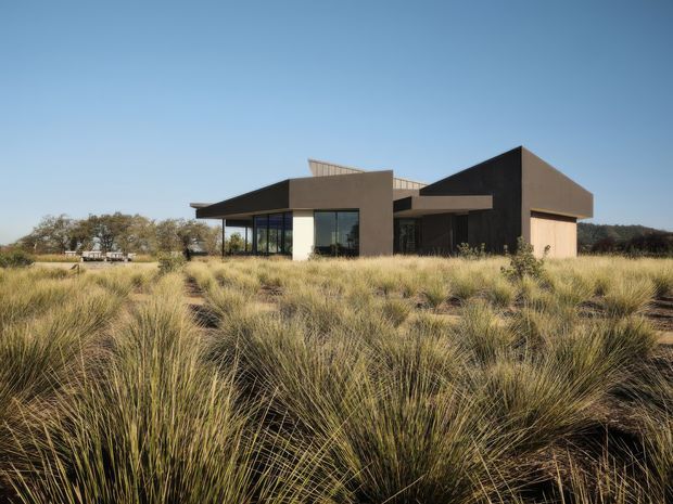 A low-slung contemporary house set within a broad natural grassland landscape. The building has crisp angular volumes, dark brown and charcoal exterior walls, extensive floor-to-ceiling glazing, and projecting flat roof planes. Native grasses dominate the foreground, with scattered trees and open terrain surrounding the residence under a clear blue sky.