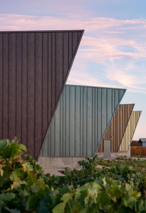 Exterior architectural photograph of a row of distinctive angular buildings with dramatically sloping triangular ends and vertically ribbed dark timber and muted metal cladding. The structures sit within landscaped vineyard-style planting, with a pastel evening sky in the background. The composition emphasizes repeated geometric forms and strong facade silhouettes.