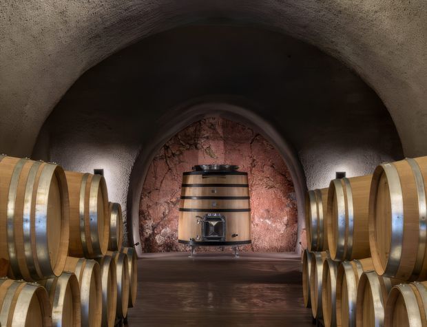 A dim, arched wine cellar with rows of wooden wine barrels lining both sides. A large central barrel sits against a rough reddish stone feature wall, with dark timber flooring and textured plaster or masonry vaulting creating a dramatic, rustic atmosphere.