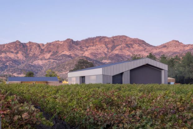 A low, contemporary agricultural or winery-style building sits behind rows of cultivated vines, with a sharply folded single-slope roof and dark vertical metal cladding. A smaller outbuilding is visible to the left. Dramatic red-brown mountains rise behind the property under a clear blue sky.