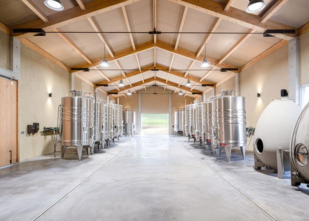 Bright industrial production hall with rows of stainless-steel cylindrical tanks and processing vessels arranged along both sides of a wide polished concrete floor. The building has exposed timber roof trusses, a high pitched ceiling, pale wall finishes, suspended industrial lighting, and large open circulation space, suggesting a brewery, winery, or other beverage-processing facility.