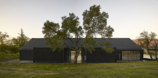 A low, elongated modern building set within a landscaped grassy site. The dark corrugated pitched roof and near-black vertical cladding create a strong, minimalist silhouette, with a partially screened glazed opening on the right and mature trees integrated into the foreground and surroundings.