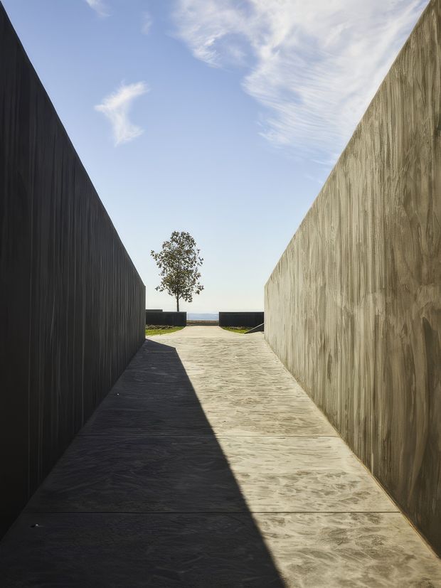 A narrow exterior architectural passage framed by tall dark vertical cladding on the left and a raw textured concrete wall on the right. A pale concrete walkway leads toward an open view of the horizon, with a single small tree and low dark boundary walls at the end. Strong sunlight creates a dramatic diagonal shadow across the path beneath a clear blue sky.
