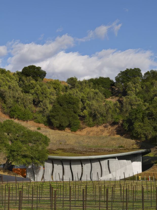 Exterior view of a low, sculptural building set into a dry, heavily wooded hillside. The structure has a gently curved roofline, a long pale grey facade with distinctive dark vertical structural or decorative elements, and extensive metal fencing in the foreground. The surrounding landscape is rural and hilly under a bright blue sky with scattered clouds.