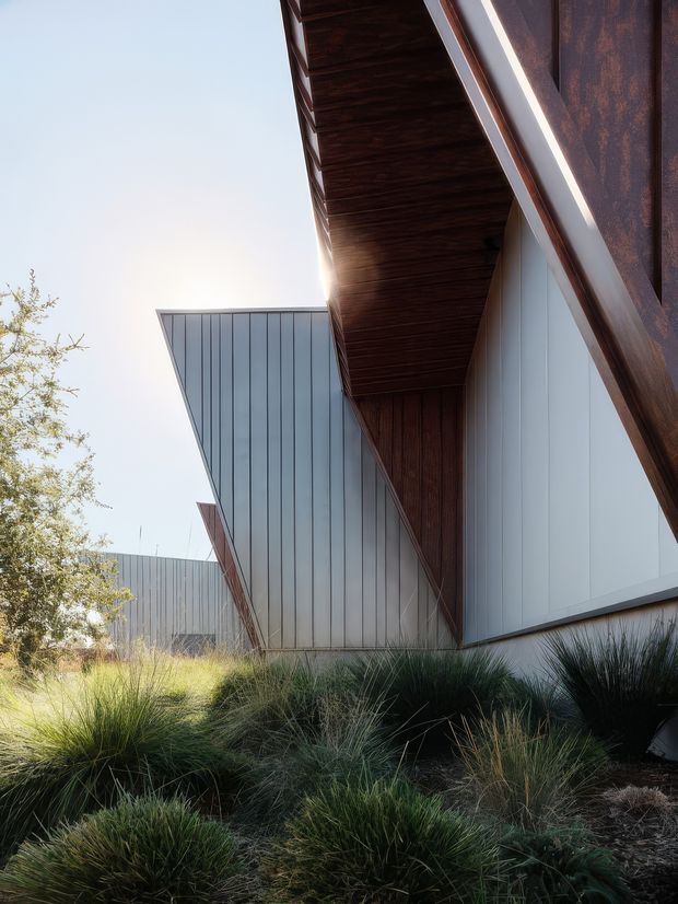 Low-angle exterior view of a contemporary angular building with sharply projecting roof and wall planes. The facade combines pale vertical metal cladding with dark weathered metal panels and warm dark timber soffits. Native ornamental grasses and low planting surround the base, while sunlight creates a strong backlit architectural silhouette.