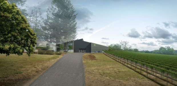 A rural vineyard property viewed from a paved driveway, with low modern agricultural or winery buildings ahead, extensive orderly vine rows to the right, mature trees and landscaped grounds to the left, and an expansive cloudy sky. The buildings have simple dark pitched or gabled roof forms and muted contemporary cladding.