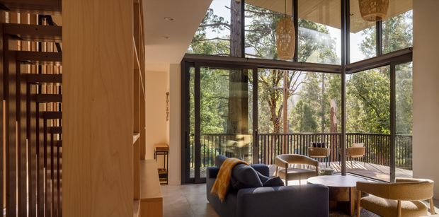 A warm, contemporary living and dining area with extensive floor-to-ceiling glazing opening onto a timber deck and leafy bush setting. The room features dark-framed glass doors and windows, timber built-in cabinetry or wall panelling, a dark sectional sofa, a round dining table with upholstered chairs, and woven pendant lights. The glazed corner creates a strong connection to the surrounding trees and outdoor balcony or terrace.