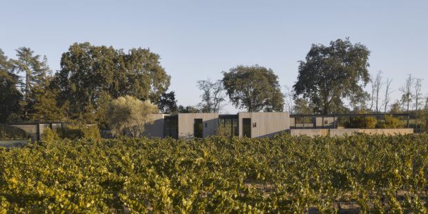 A low, contemporary single-storey building viewed across rows of vineyard or cultivated planting. The structure has simple rectangular volumes, dark-framed glazing, and muted grey-brown wall cladding, set within a leafy rural landscape.