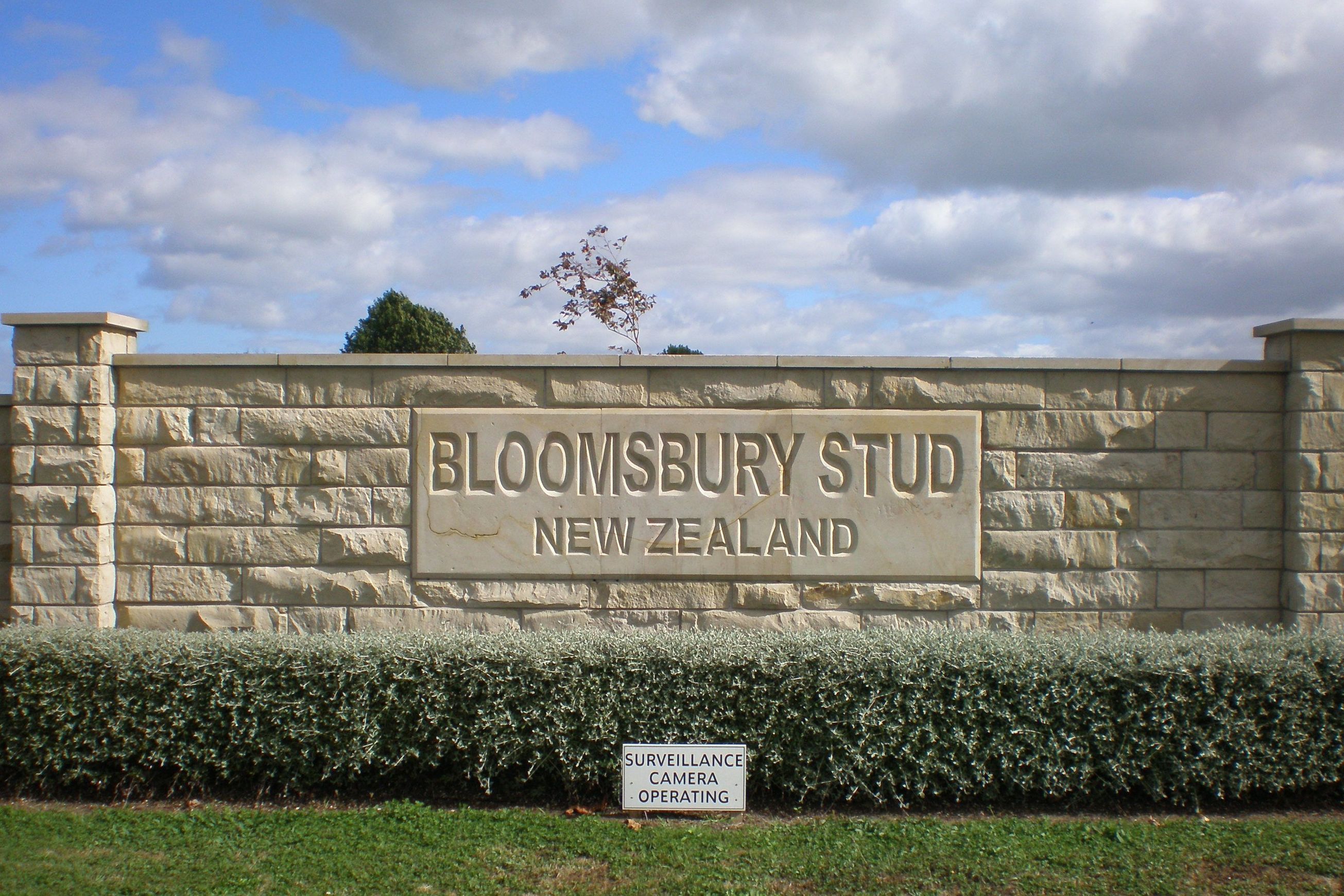 Natural Stone Wall Solutions