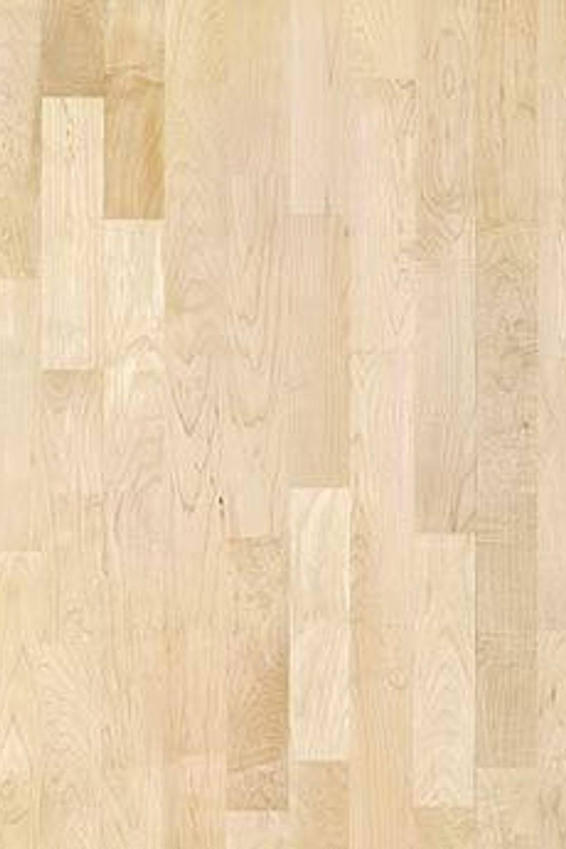 Maple Toronto Wood Flooring