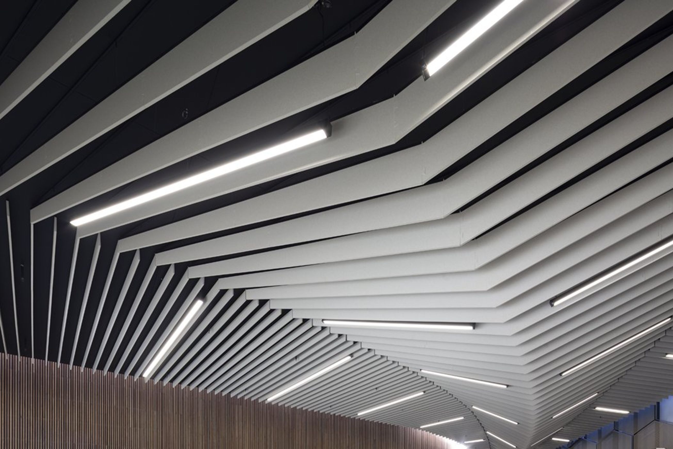Frontier Acoustic System | Fins