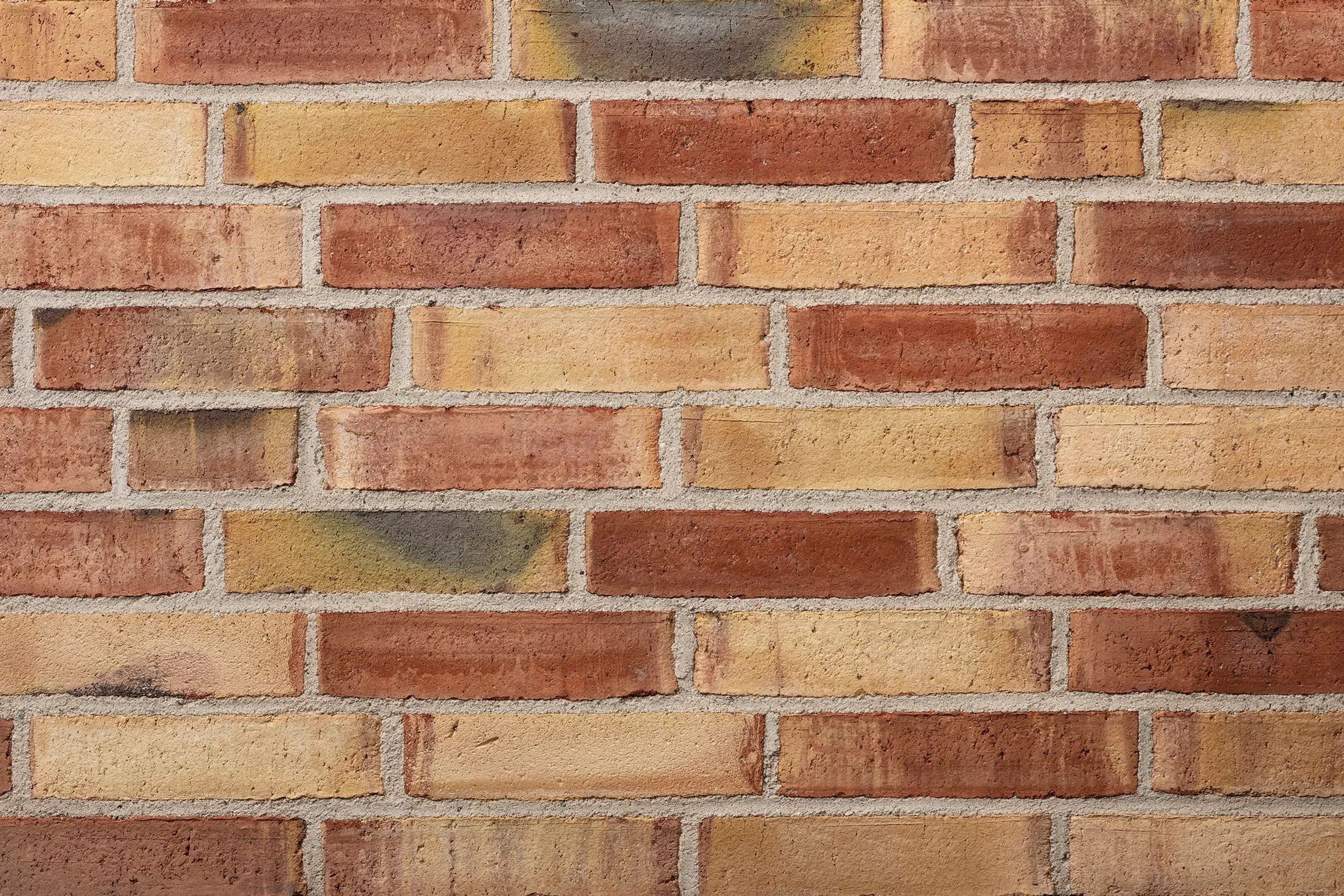 Petersen Danish Bricks