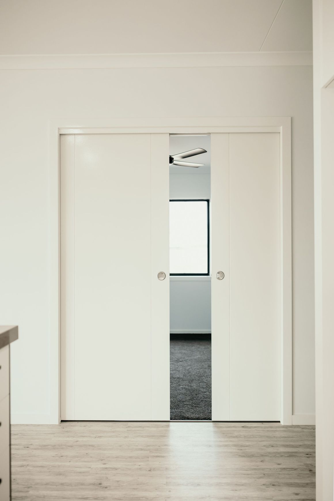 Phoenix™ 60kg Cavity Sliding Door