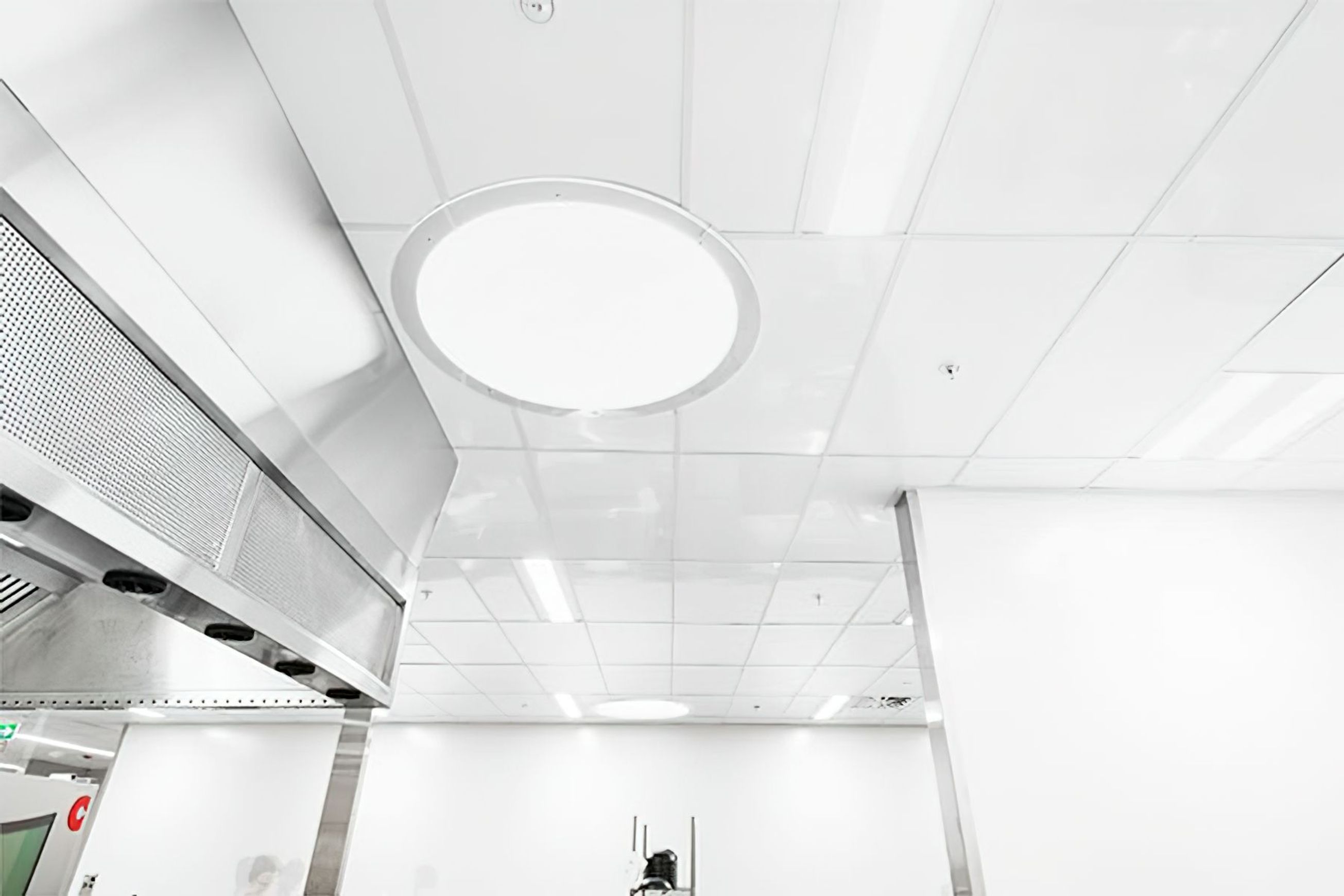 Fenta Hygiene Ceiling Tile