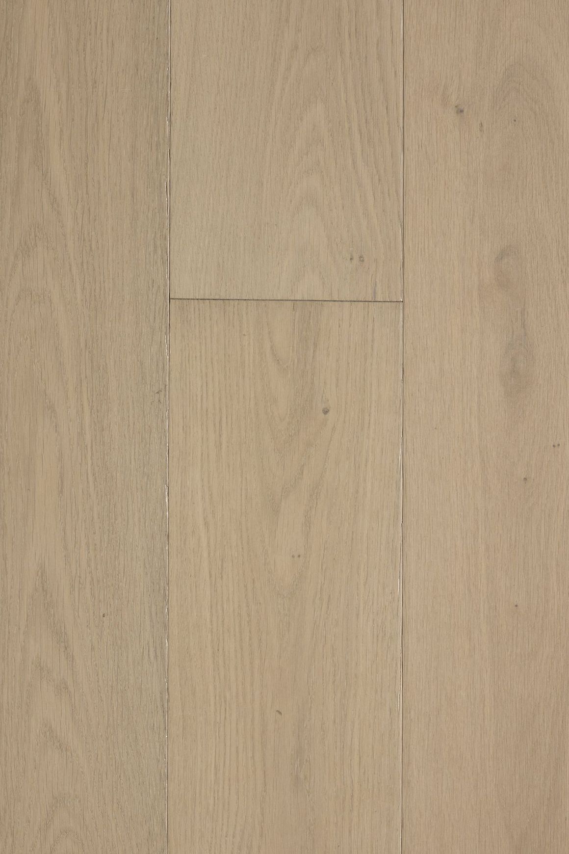 Loft Claremont Feature European Oak Flooring