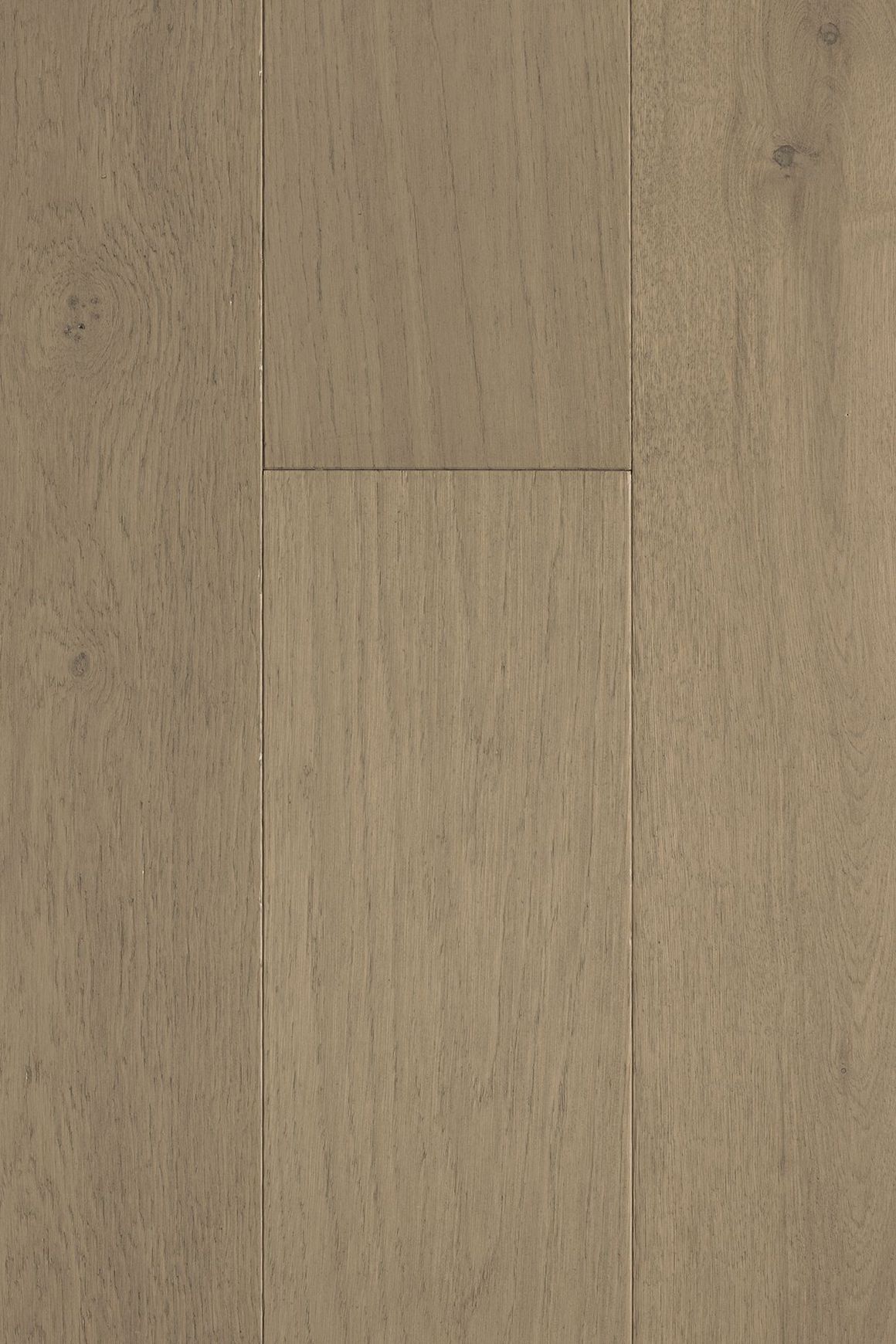 Loft Manhattan Feature European Oak Flooring