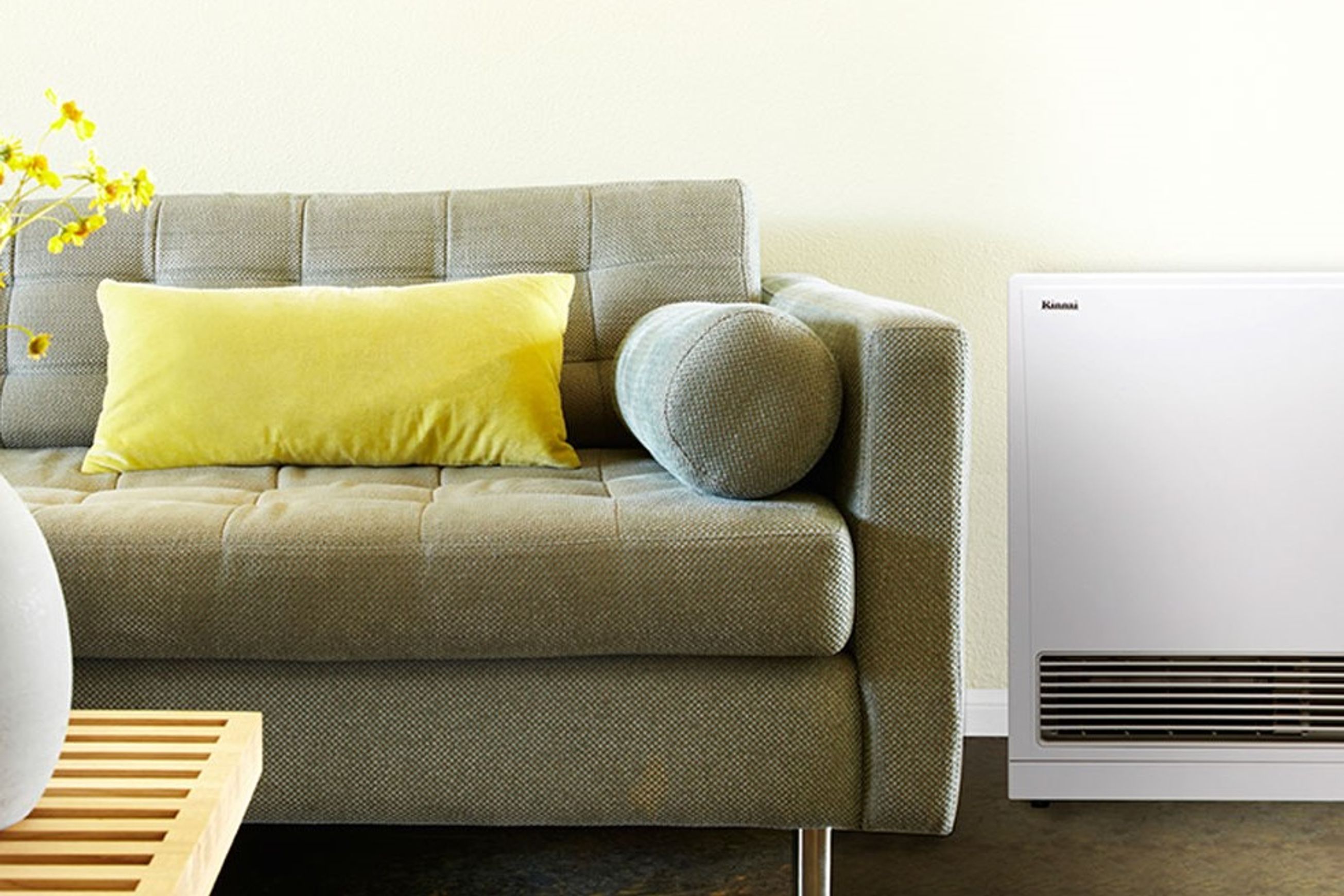 Rinnai Energysaver 561FT Gas Space Heater