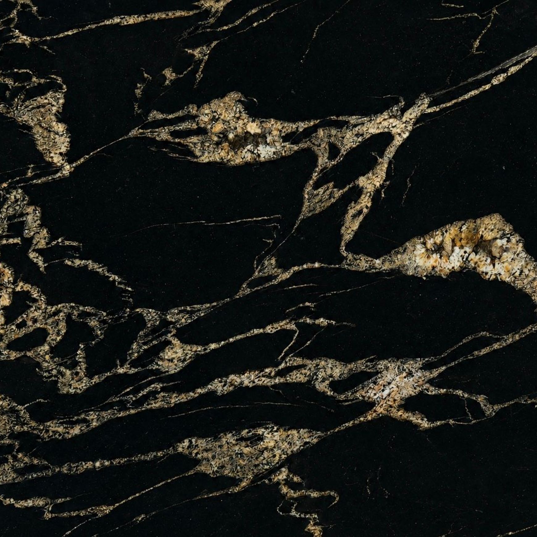 Spider Gold Granite | Natural Stone