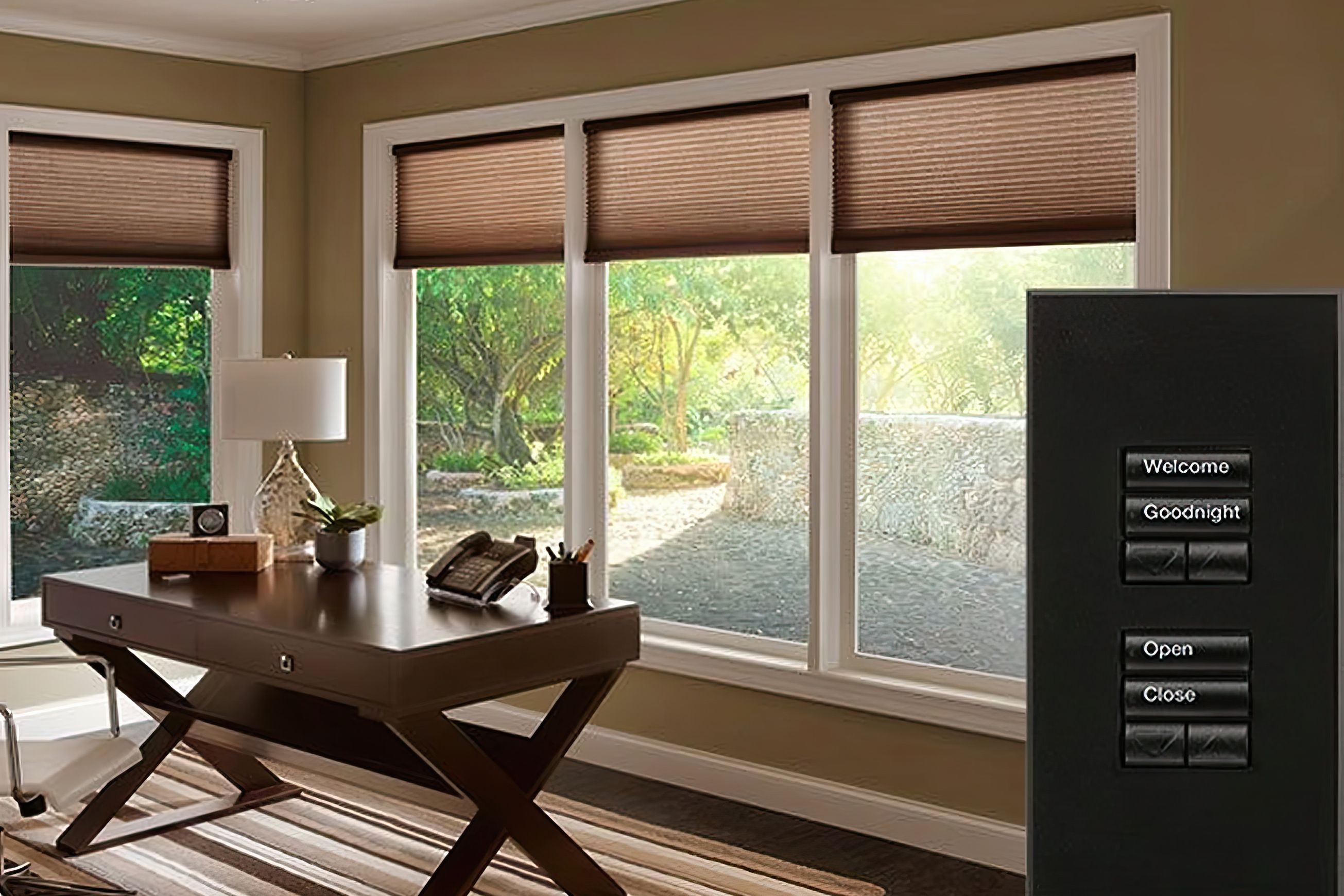 Shades & Windows