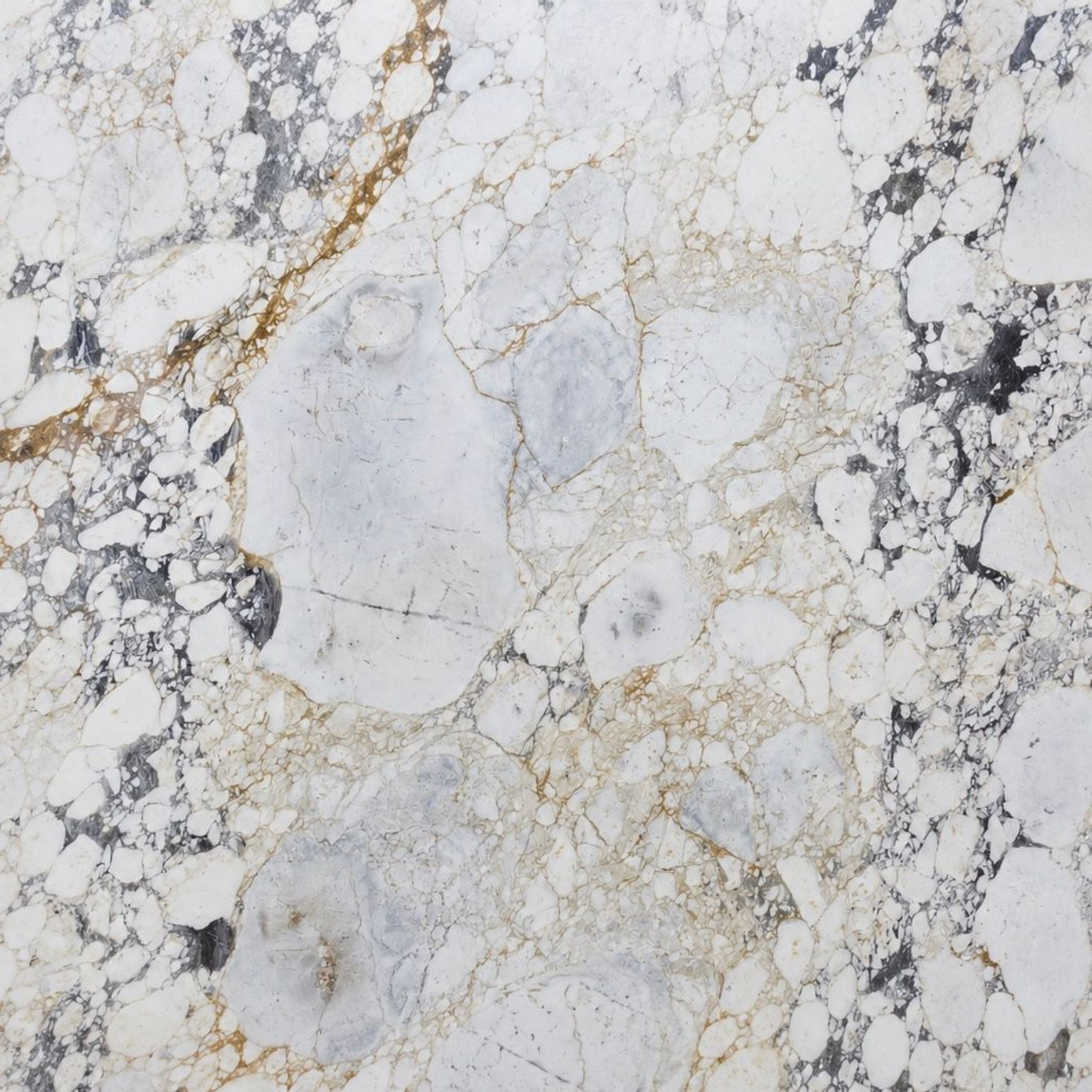 Calacatta Viola Marble | Natural Stone