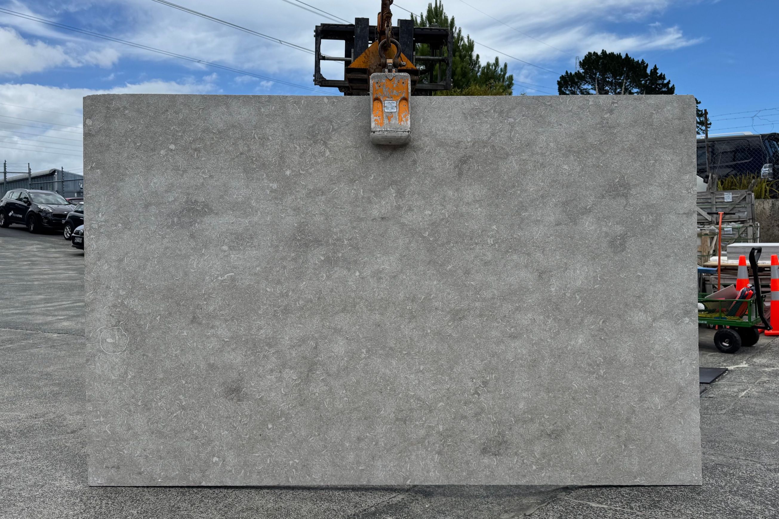 Seagrass | Limestone