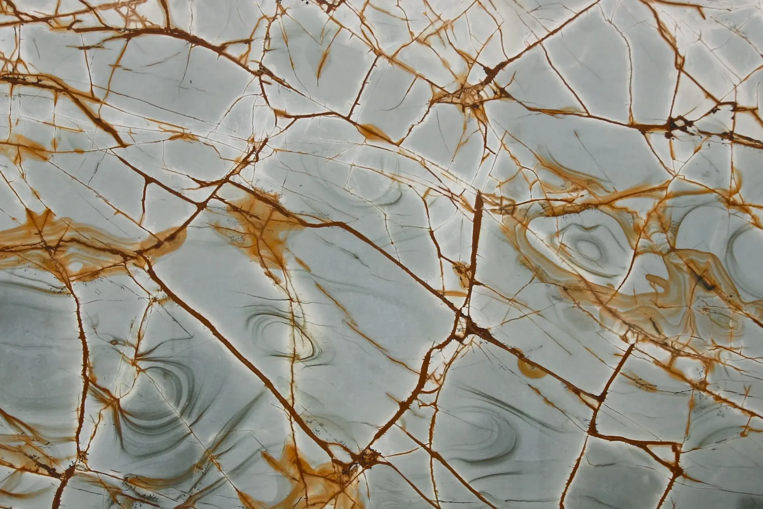 Blue Roma Quartzite Benchtop