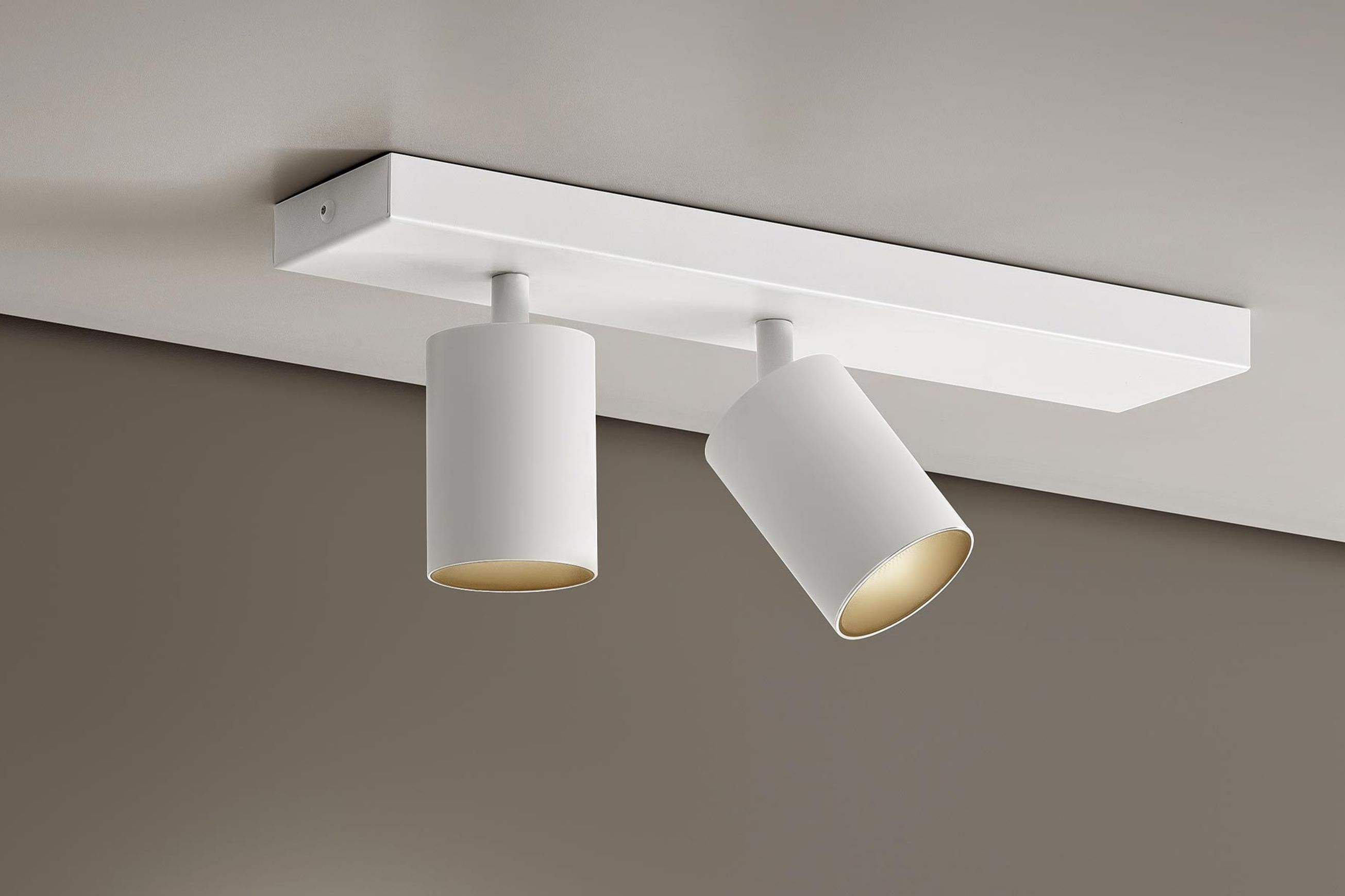 Carl2 Ceiling Spotlight