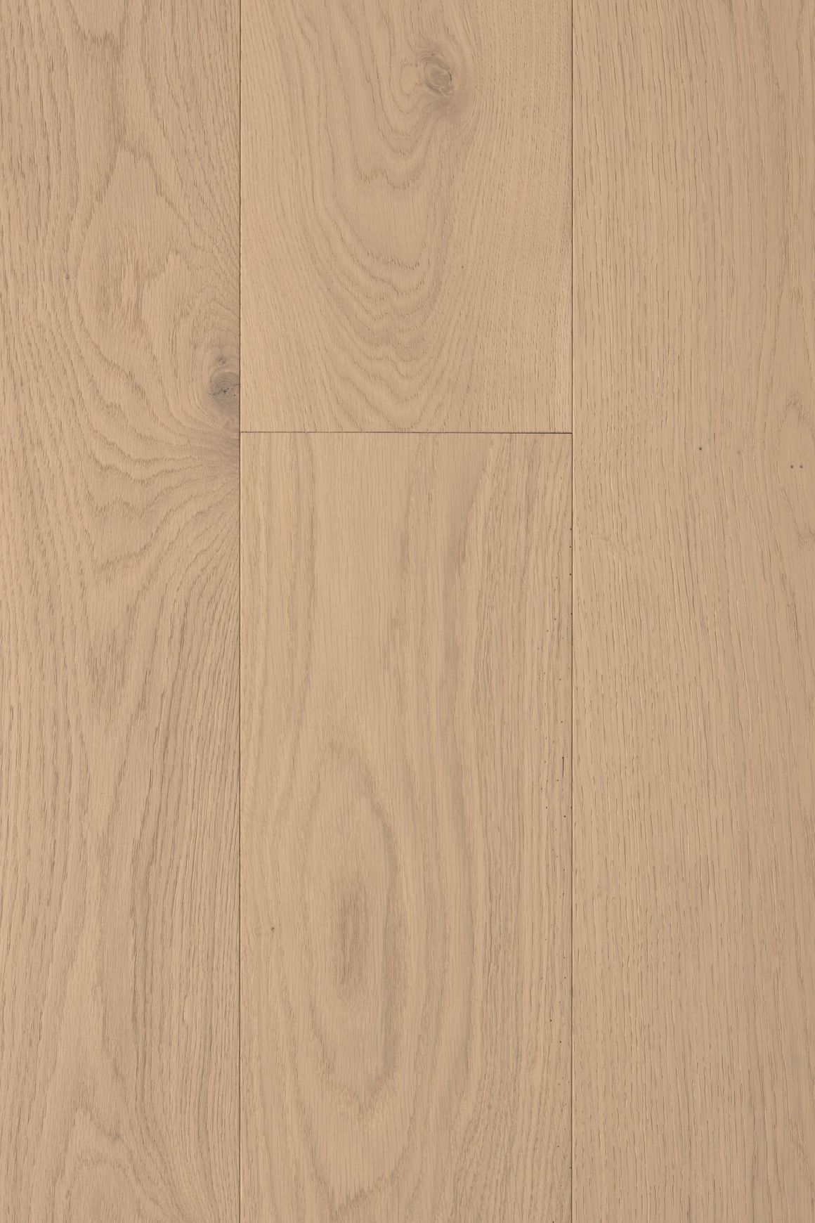 Haven Amsterdam Feature Plank Timber Flooring