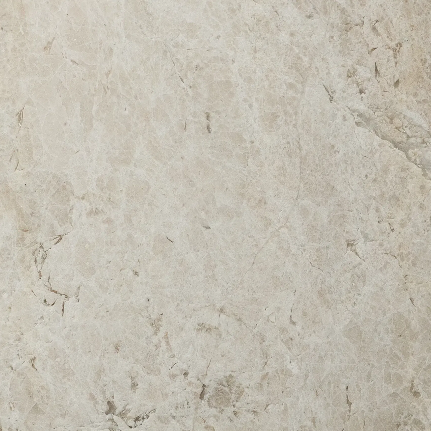 Papillon Leathered Limestone Porcelia