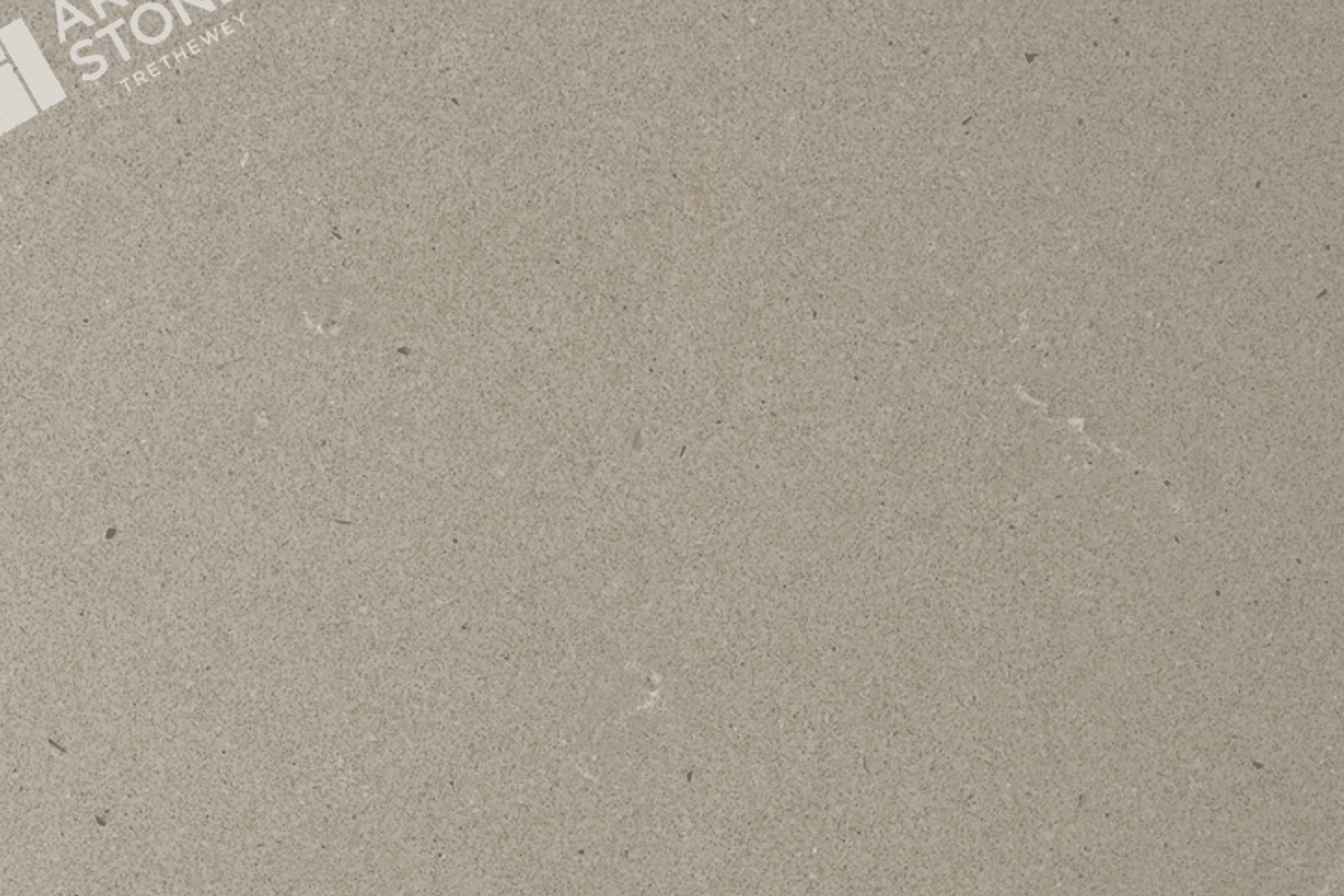 Raw Concrete