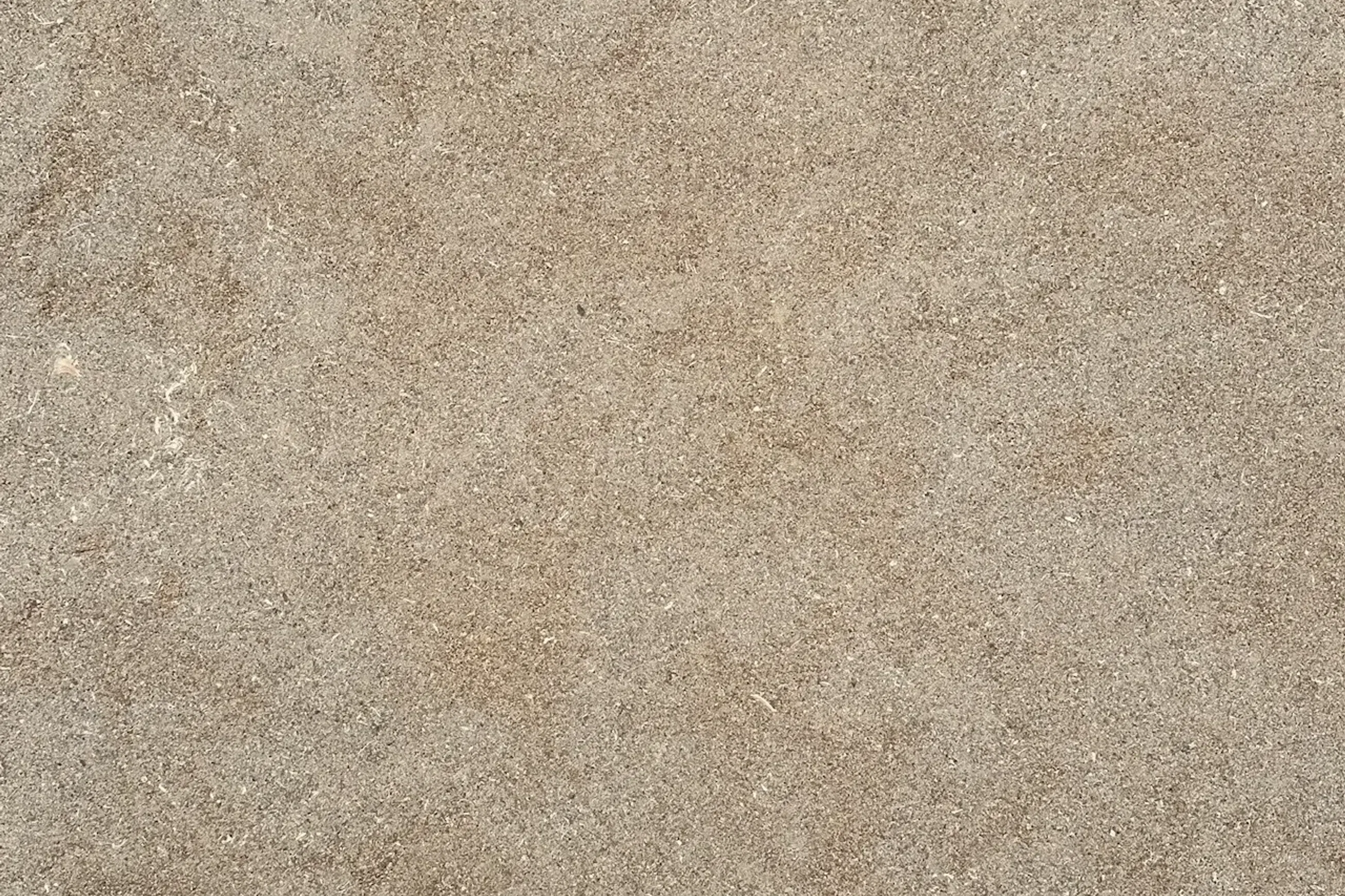 Sierra Limestone Pool Coping