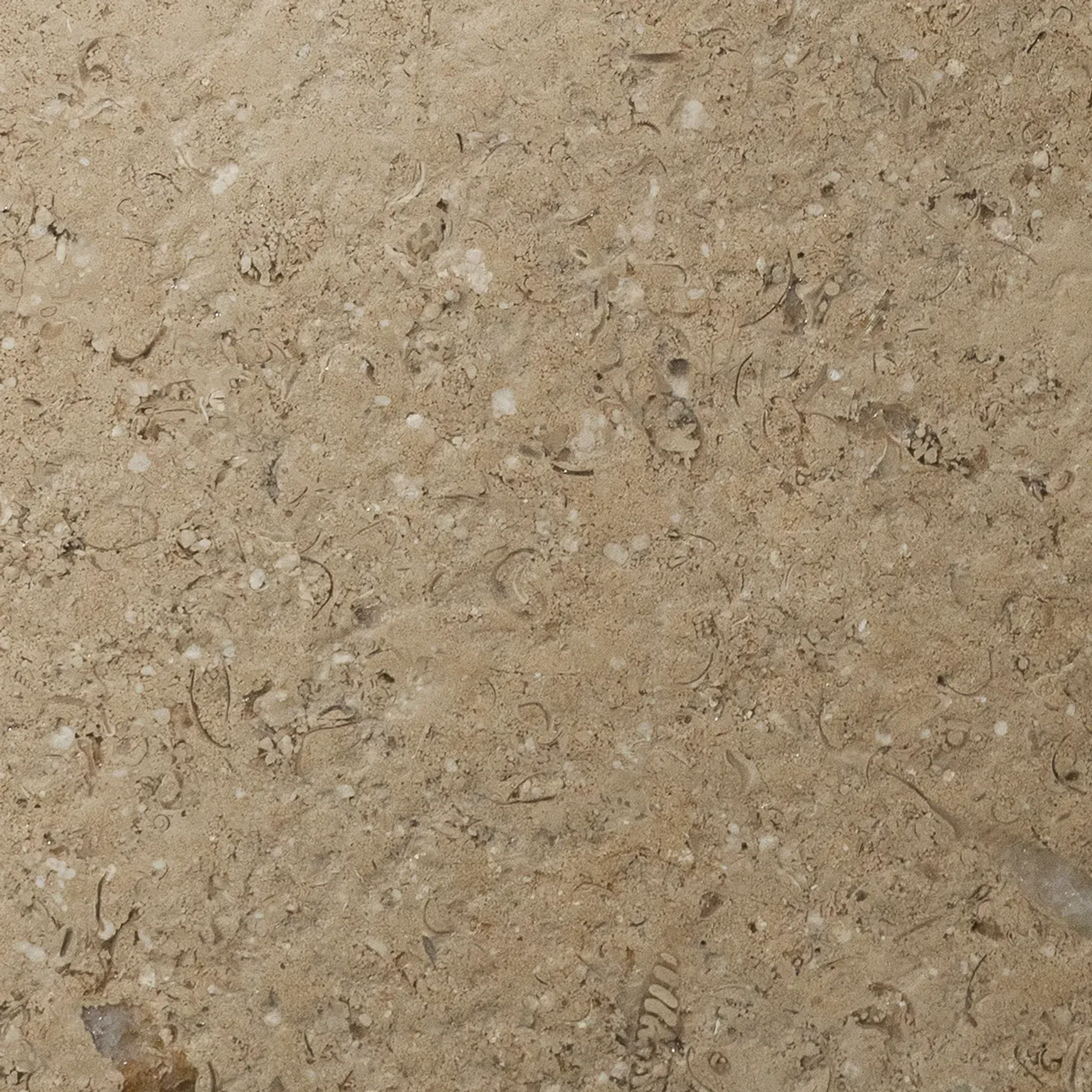 Sinai Pearl Acid Wash Limestone Porcelia