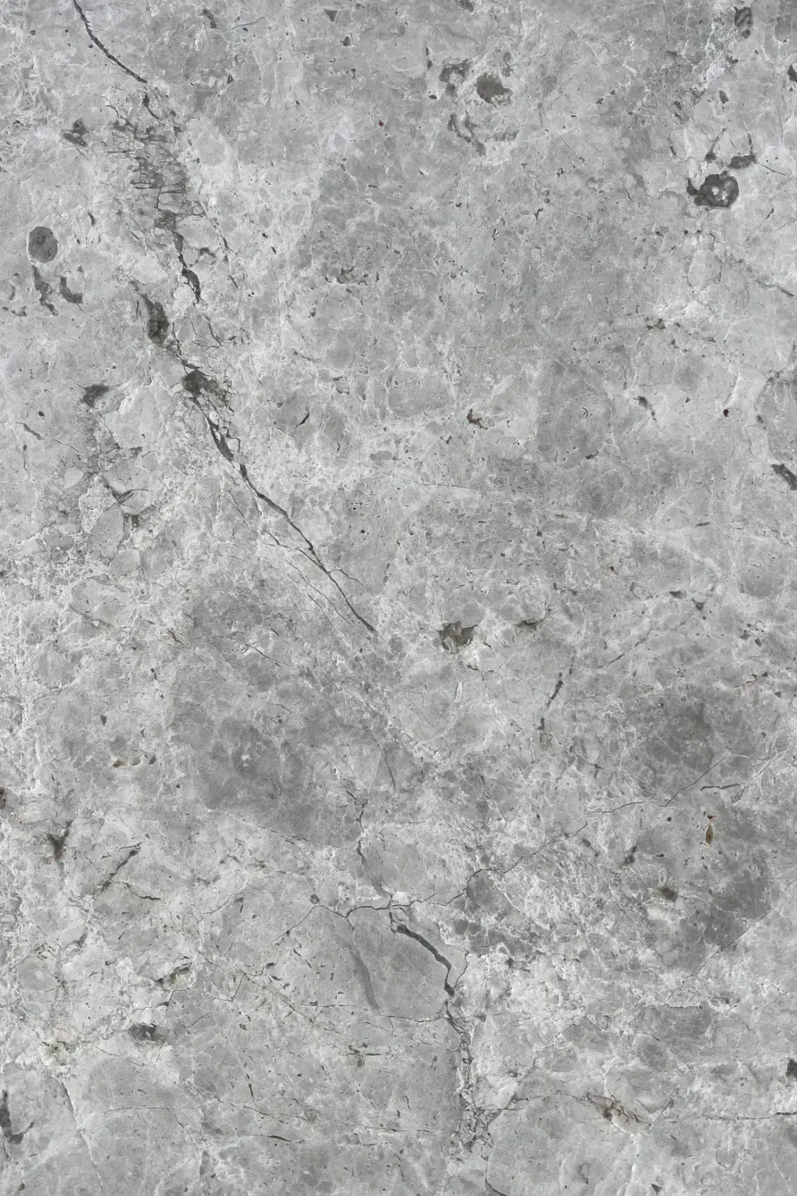 Tundra Grey Tumbled Limestone Tiles