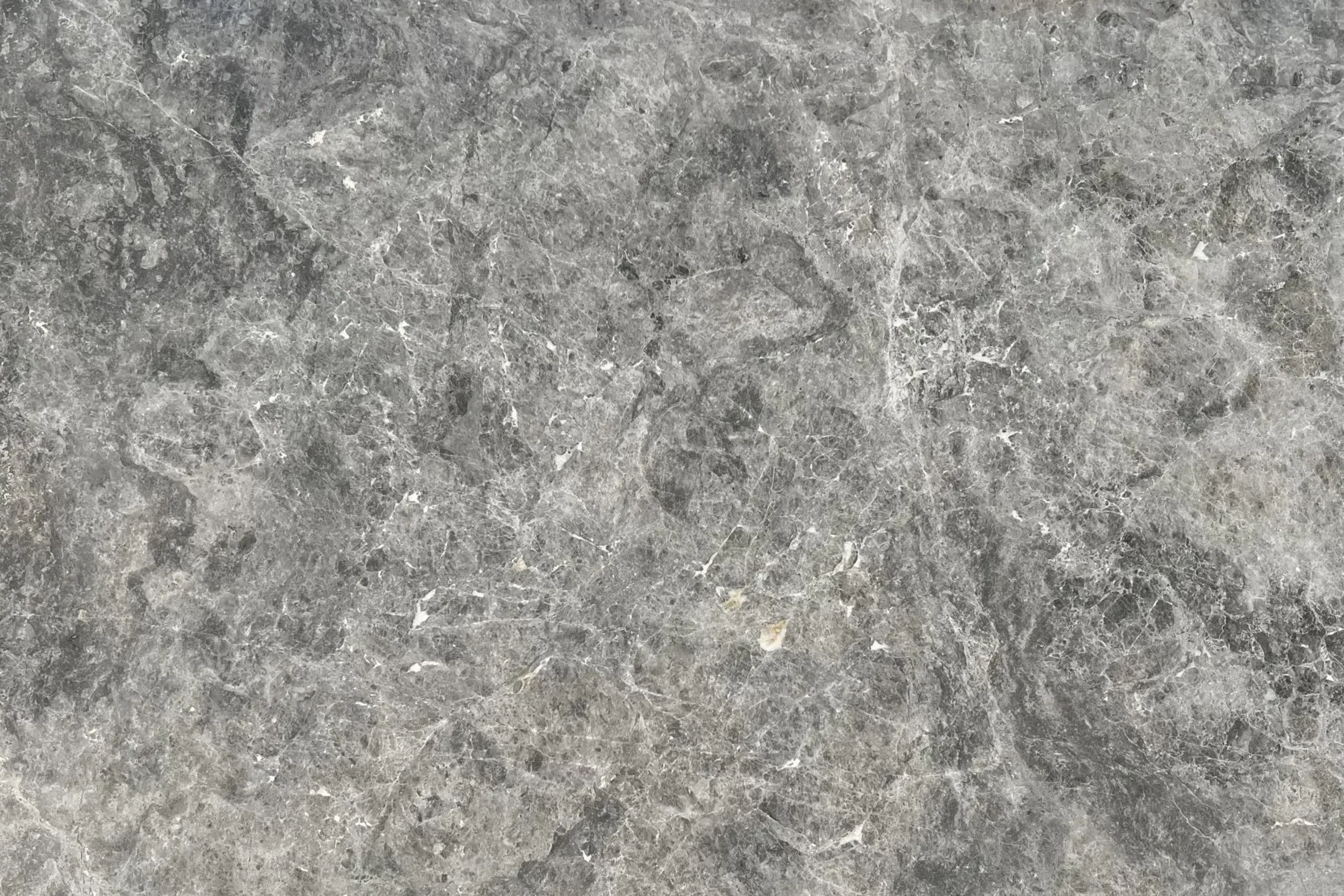 Tundra Ocean Limestone Benchtop