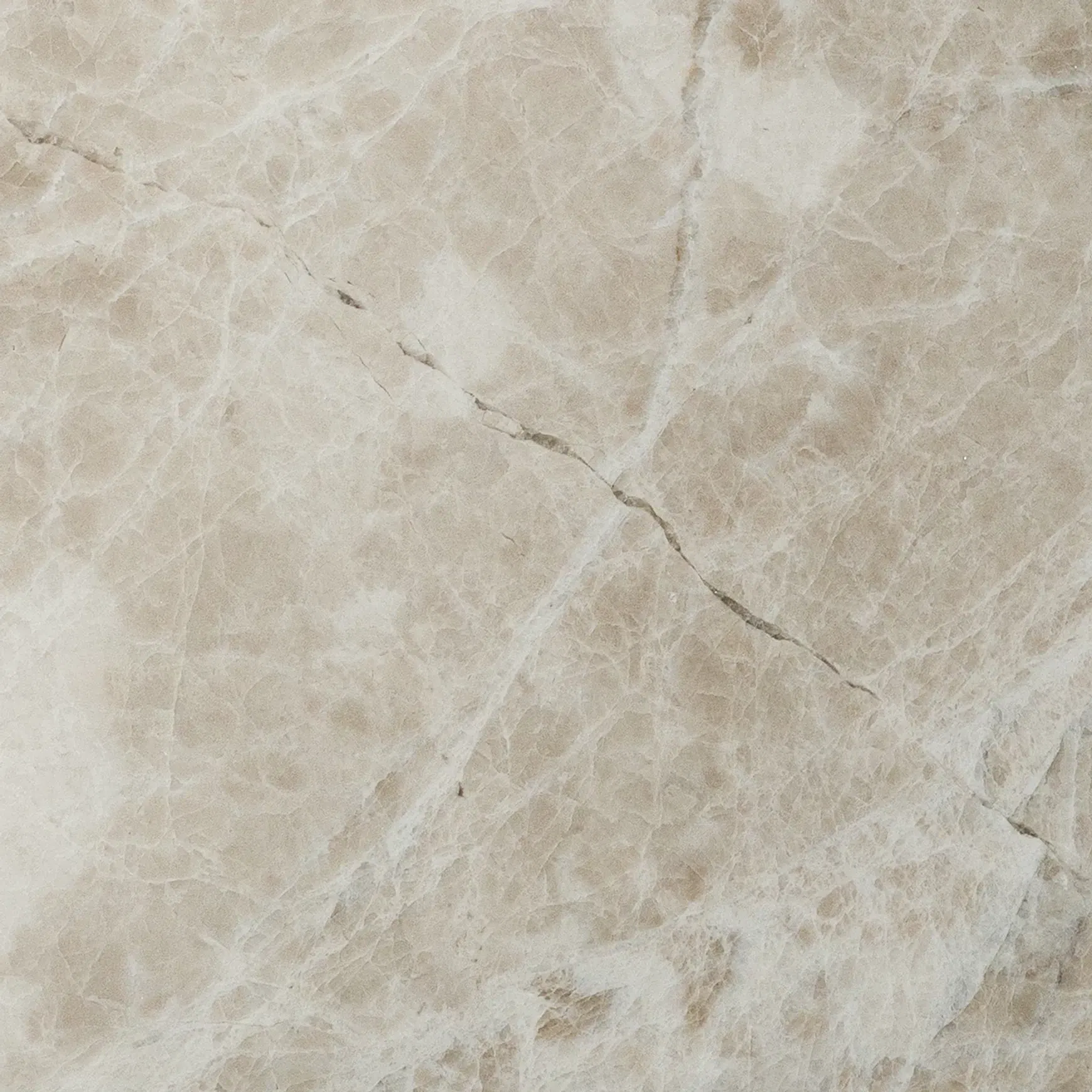 Vanillish Dark Honed Marble Porcelia