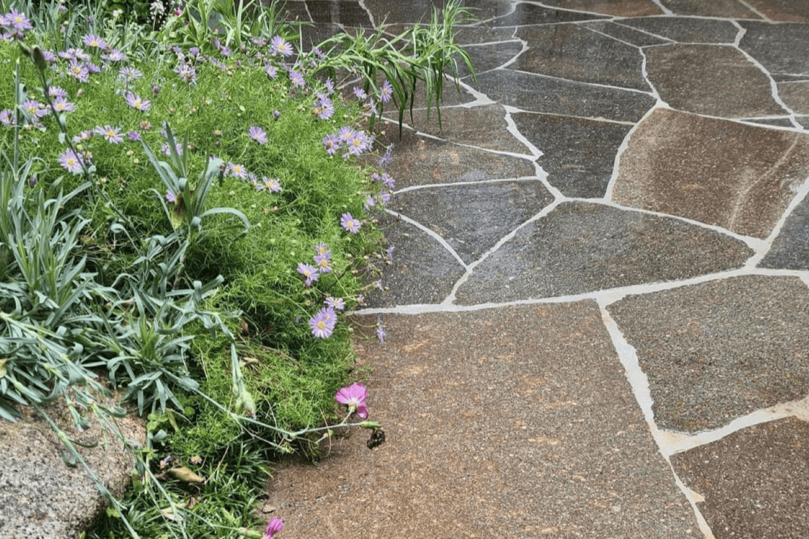 Porphyry Crazy Paving