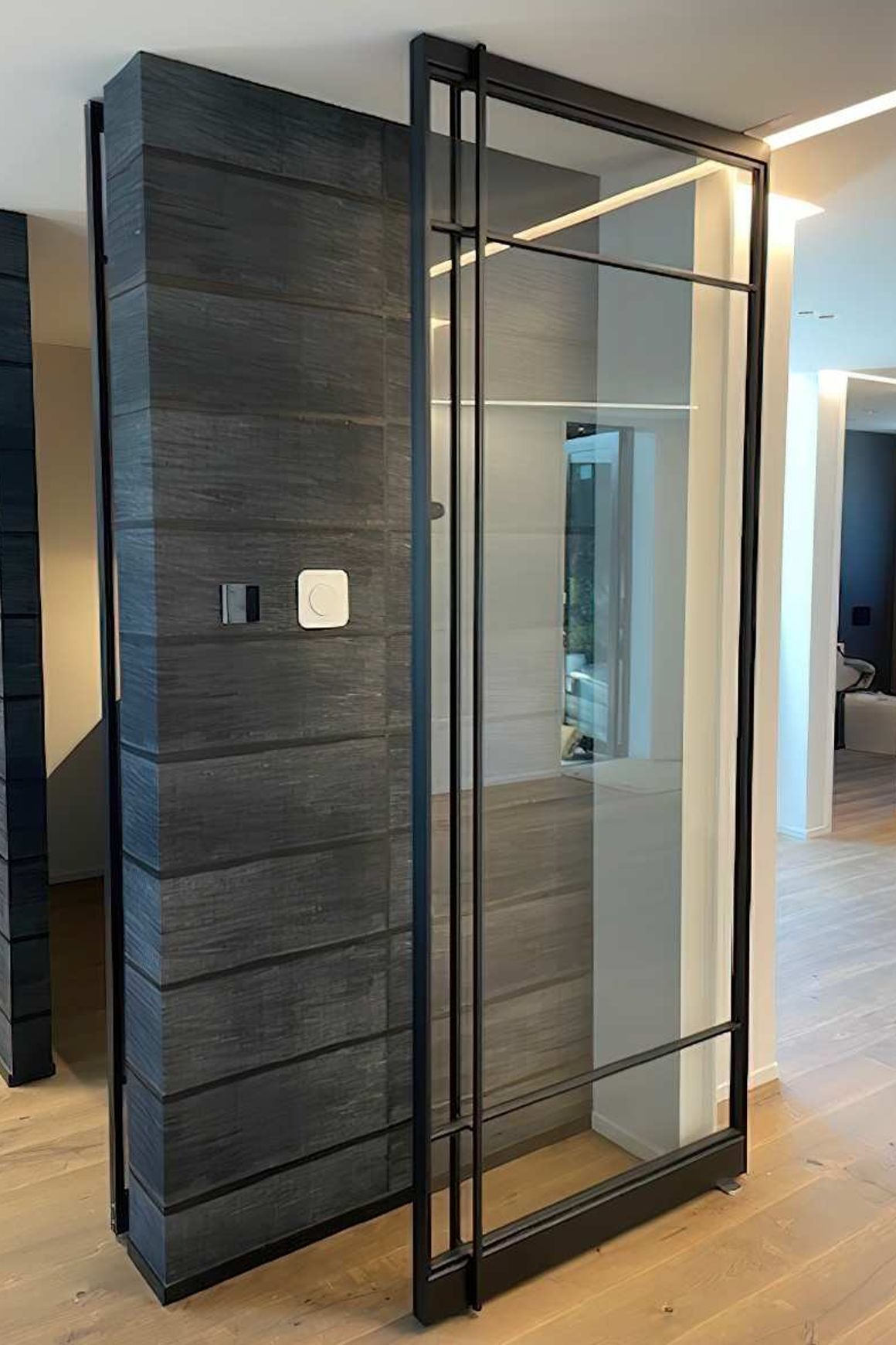 Pivot Steel Doors