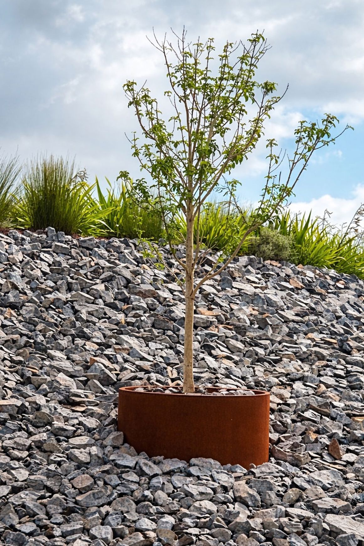 Bottomless Cylinder Planter