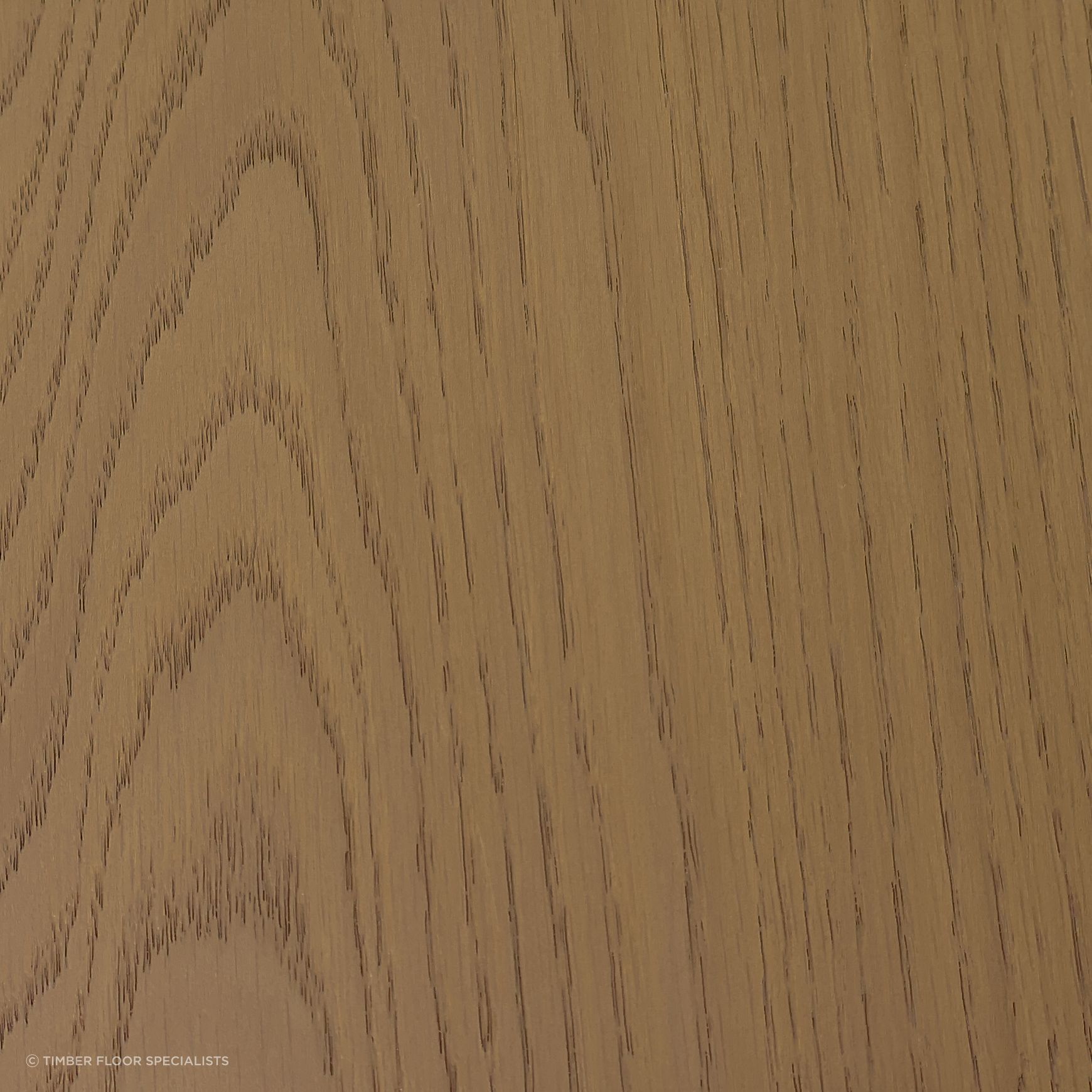 Truffle Oak