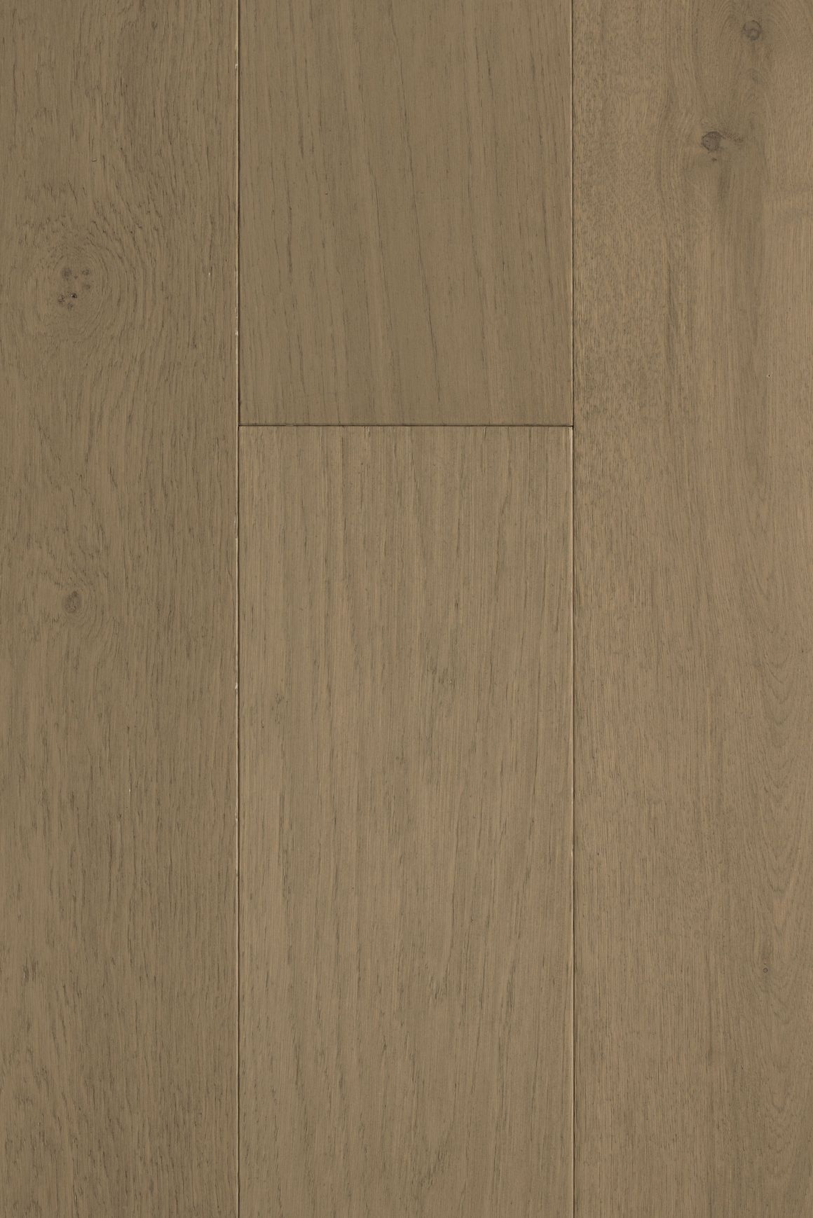Haven Milan Feature Plank Timber Flooring