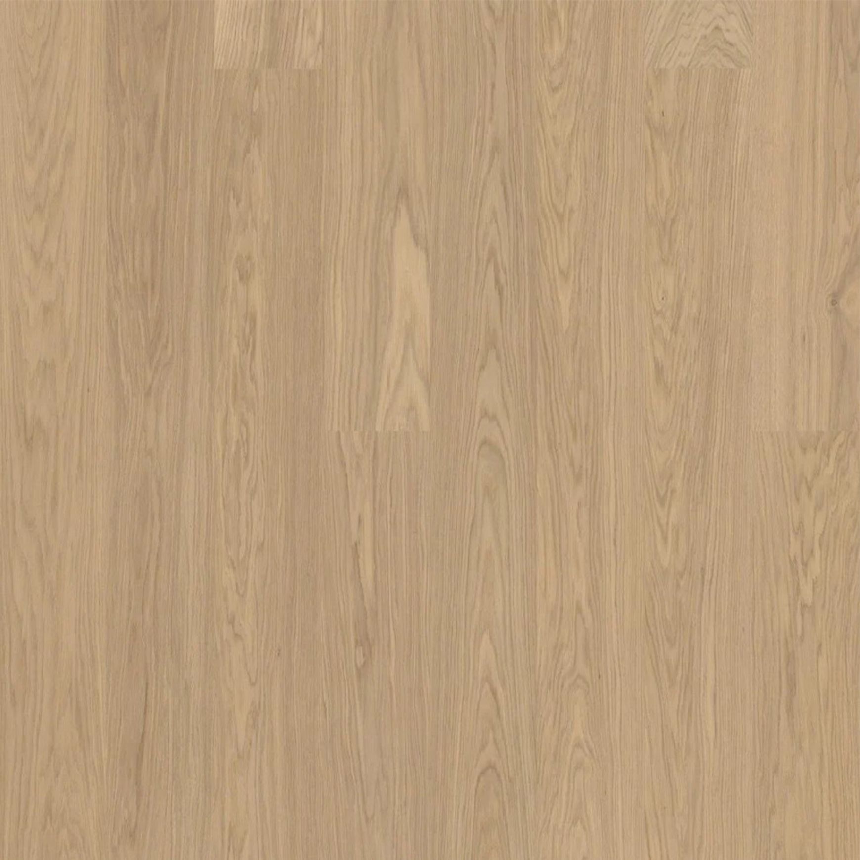 Bjelin L 180 Misty White | Select Grade