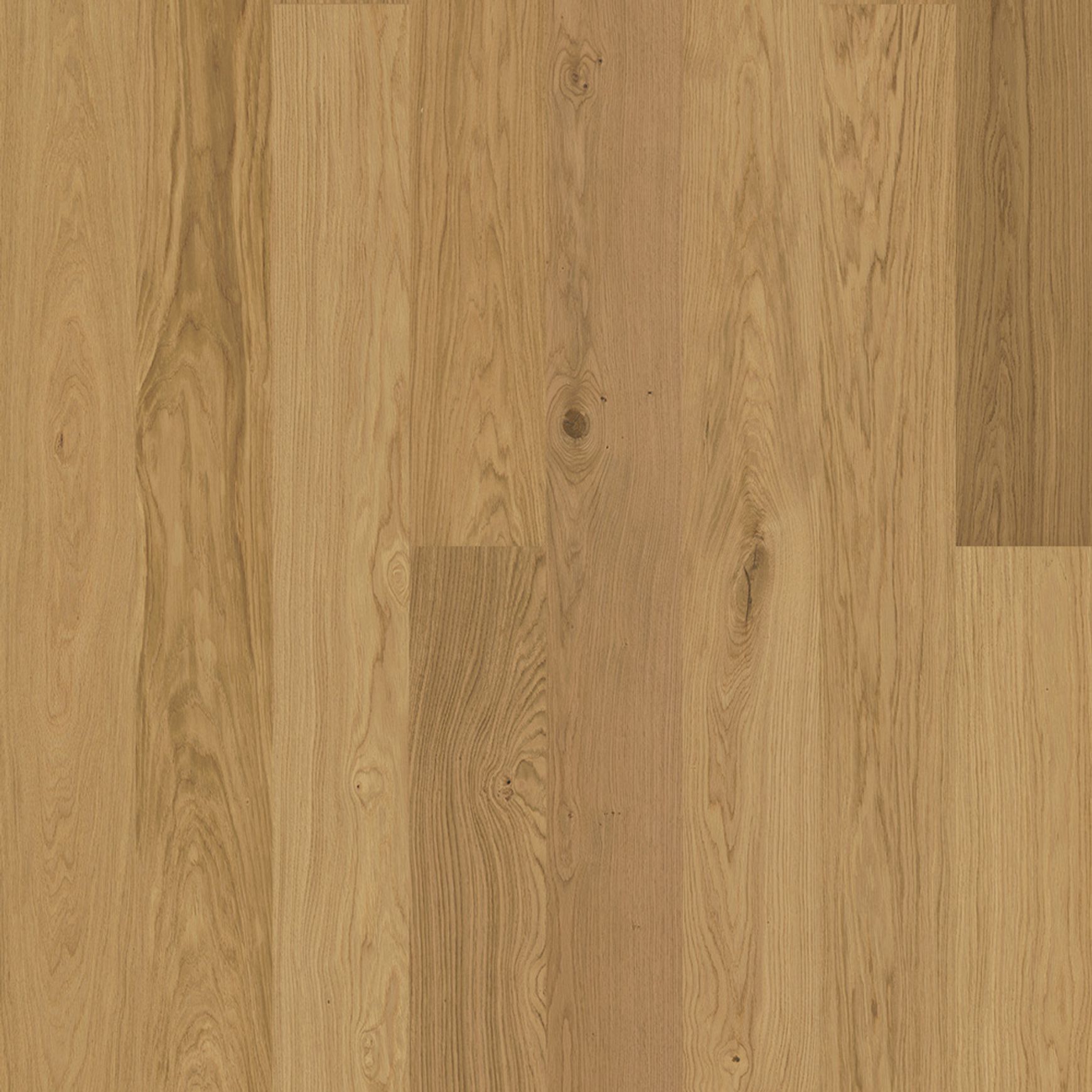 Bjelin M 151 Natural Oak | Blend