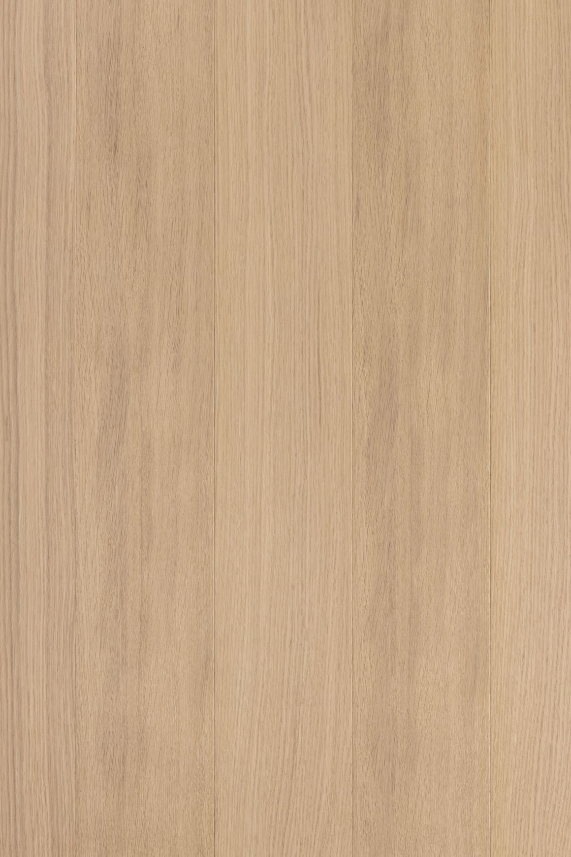 Muuro Fawn Interior Panelling