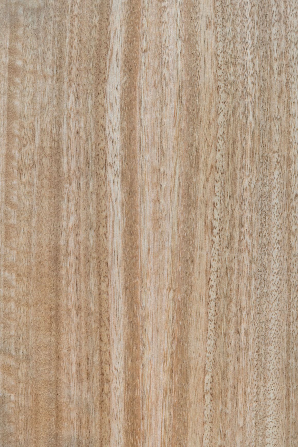 HW31001 Tasman 19mm Pre-finished Veneer Panel