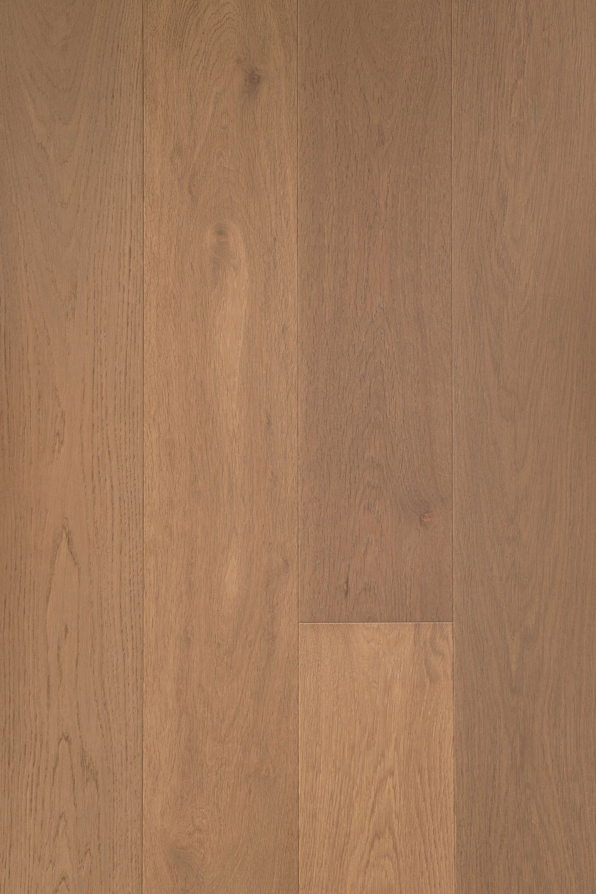 VETRA | TRUNK™ Timber Flooring | 190mm Plank