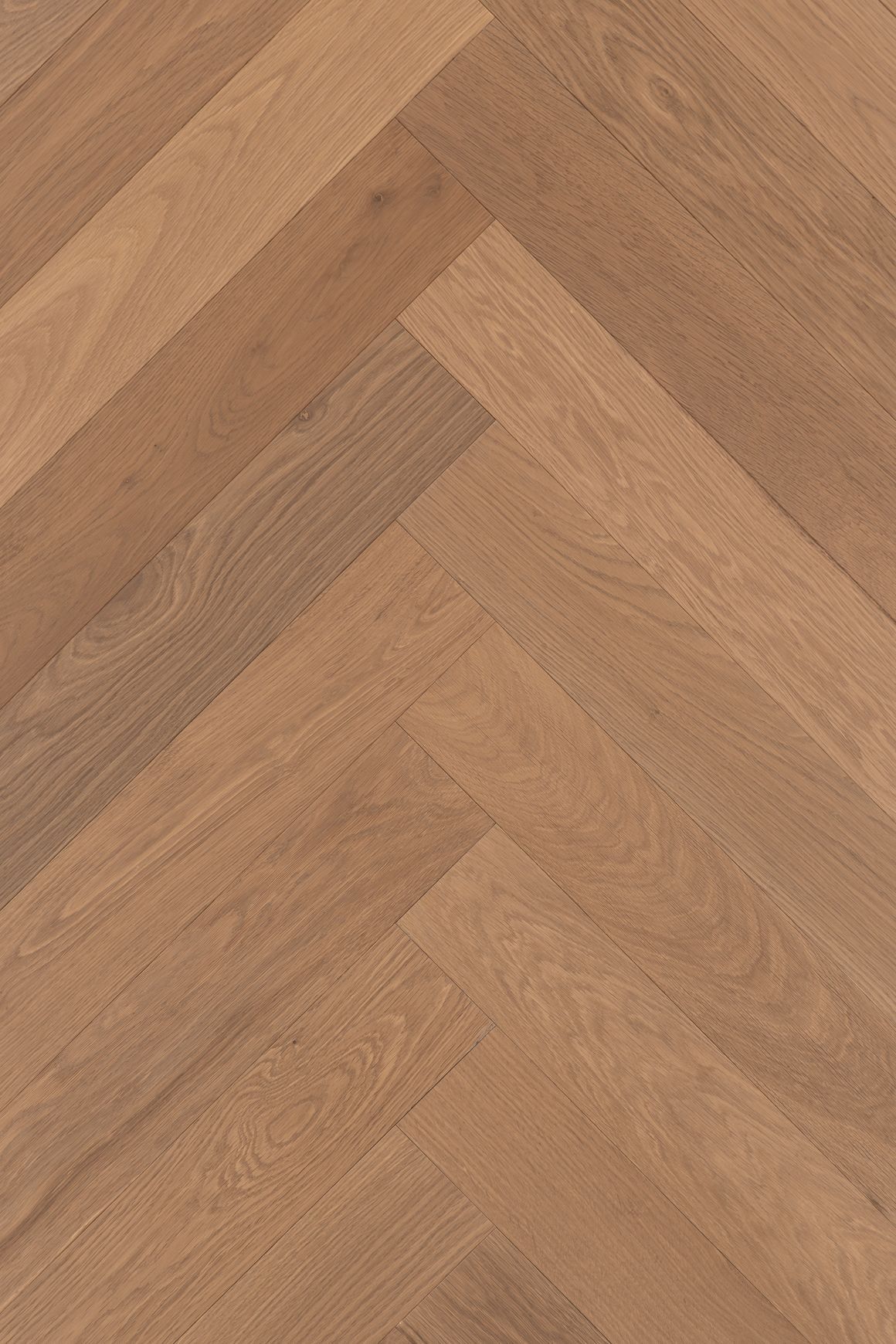 VETRA | TRUNK™ Timber Flooring | Herringbone