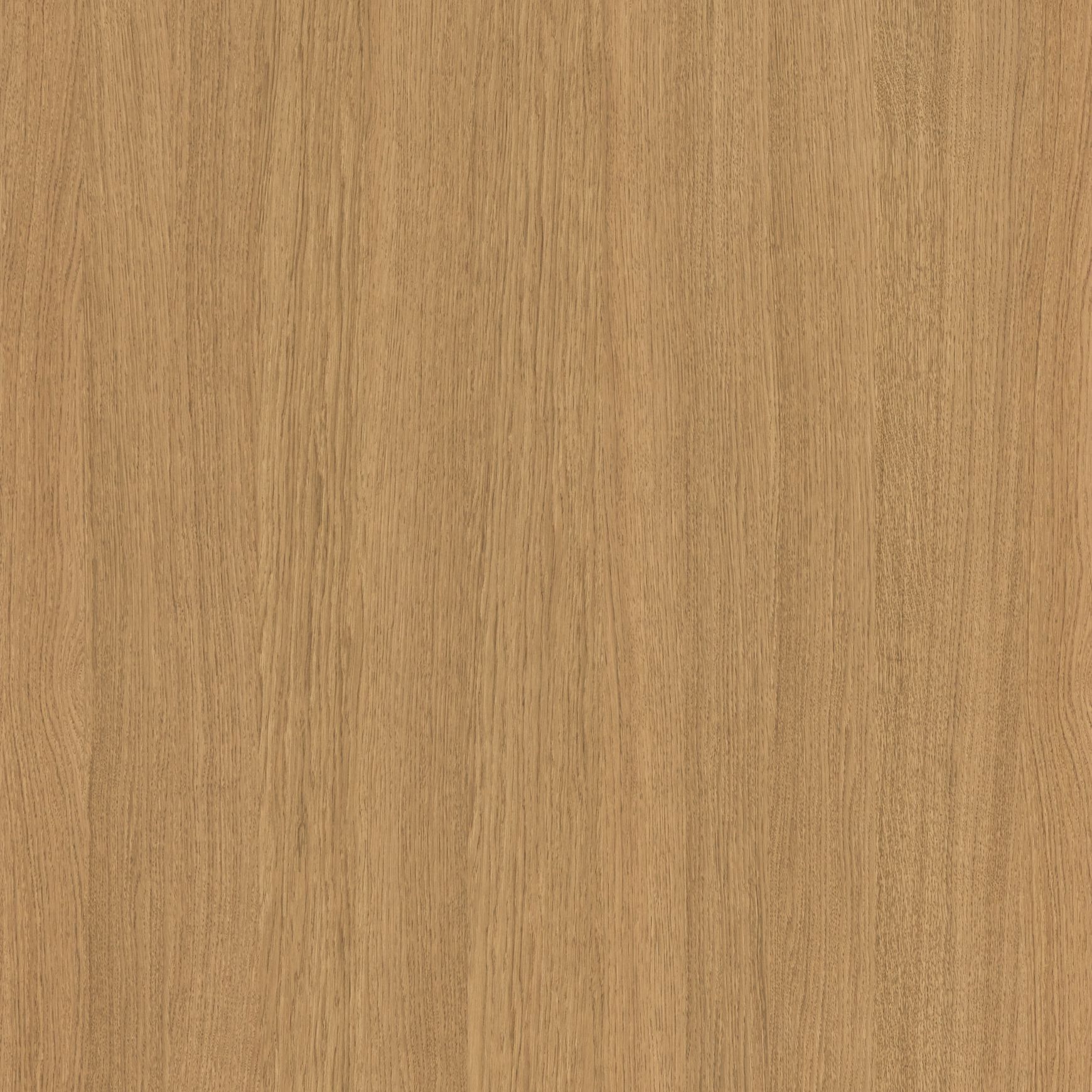 Sahara Oak Shinnoki Prefinished Timber Veneer