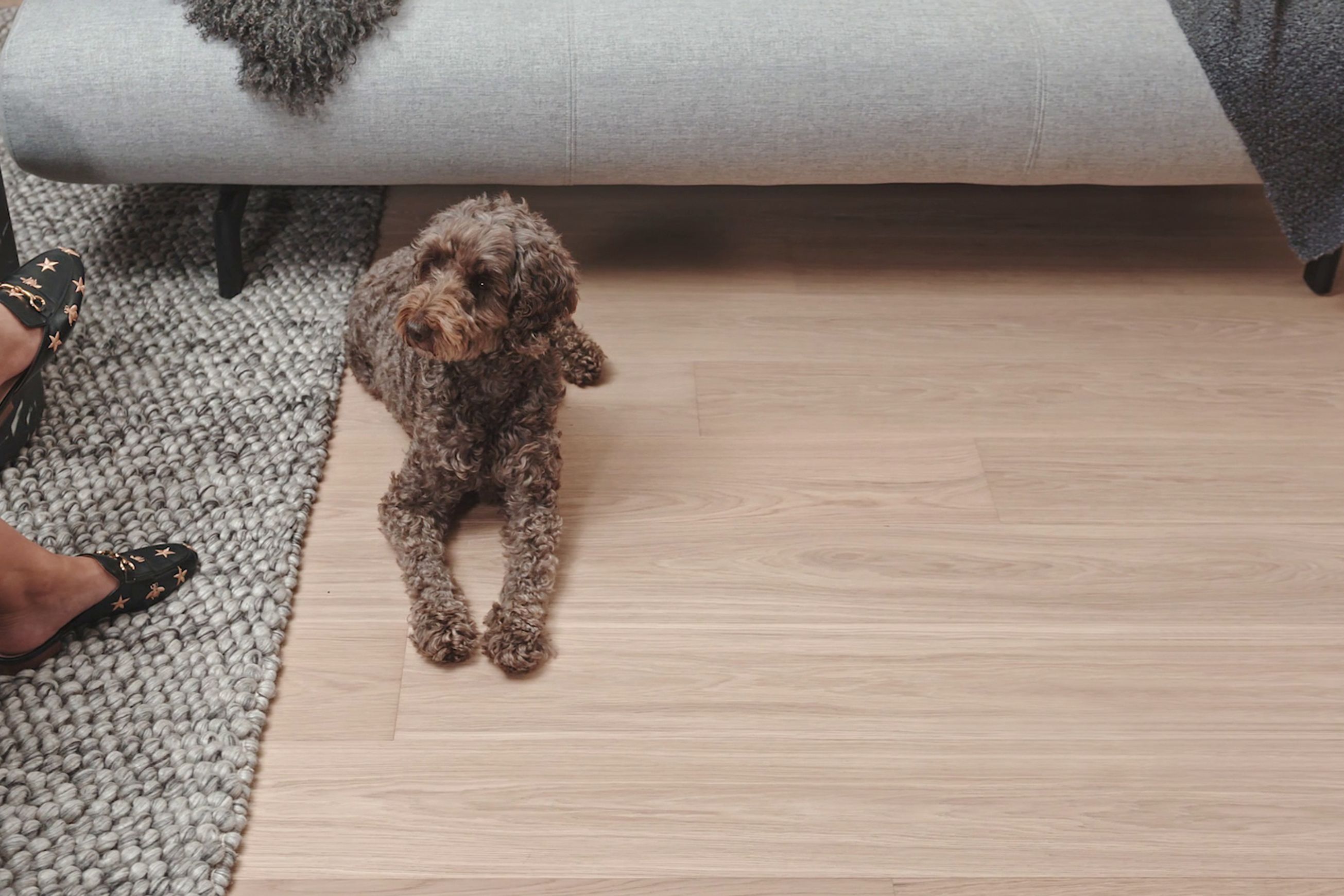 Moda Flooring Collection